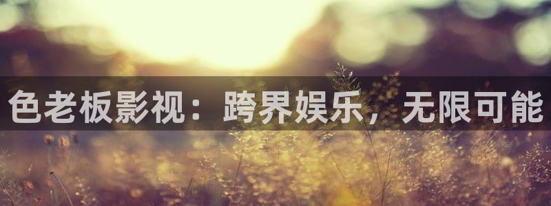 51视频免费观看视频